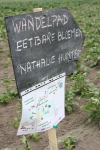 foto frederieke duchateau