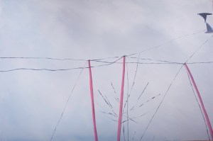 birds nathalie hunter