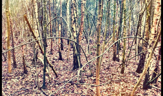 opkwikkende winterwandeling