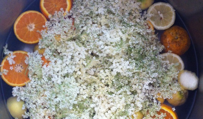 edible landscape bij de&nbsp;biobroers