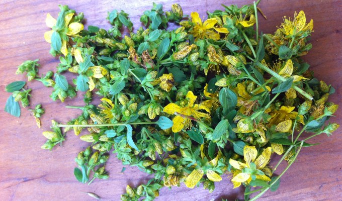 de zon schijnt en het bos ruikt&nbsp;heerlijk