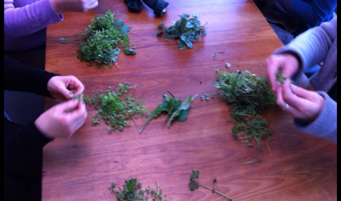 edible landscape /&nbsp;walkshops