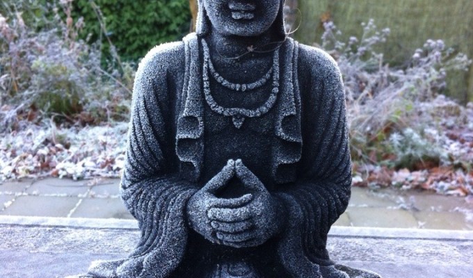 observing the interaction between mind and&nbsp;matter